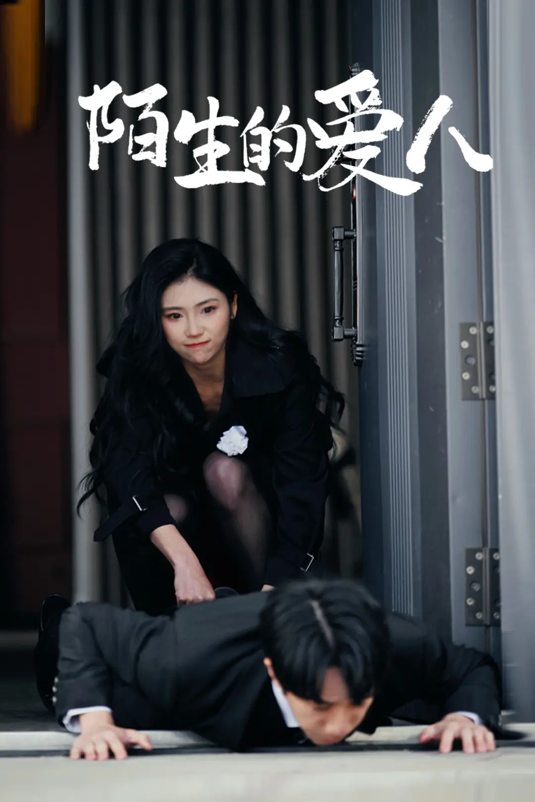 《陌生的爱人》:悬疑爱情的迷雾,真相与谎言的交织