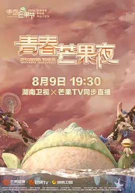 2020青春芒果夜:光芒四射的视听盛宴与难忘回忆
