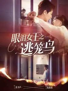 《眼泪女王之逃笼鸟》：豪门婚姻的窒息与反抗，一场关于自我救赎的华丽冒险！