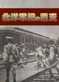 《北洋军阀的覆灭》：历史洪流下的权力游戏与时代悲歌，解读民国初年的乱世风云